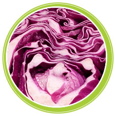 Natural Colour Cabbage Red - Herbal Extracts