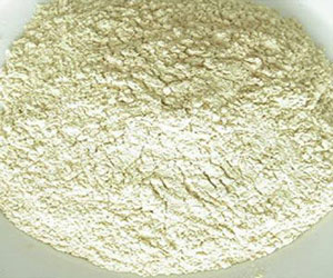 Onion Freeze-dried Powder