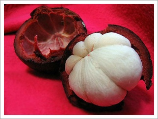 mangosteen extract - Herbal Extracts